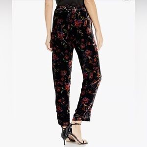 NEW. Johnny Was Jade Moonlight Velvet Pants. NWT